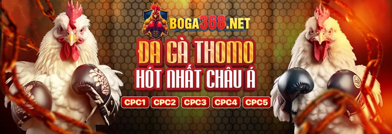 Chính sách Cookie của mu88ae link mới